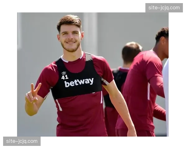 英格兰赖斯单后腰覆盖，保护防线与衔接中前场的枢纽作用评估